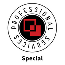 Professional Services - Special